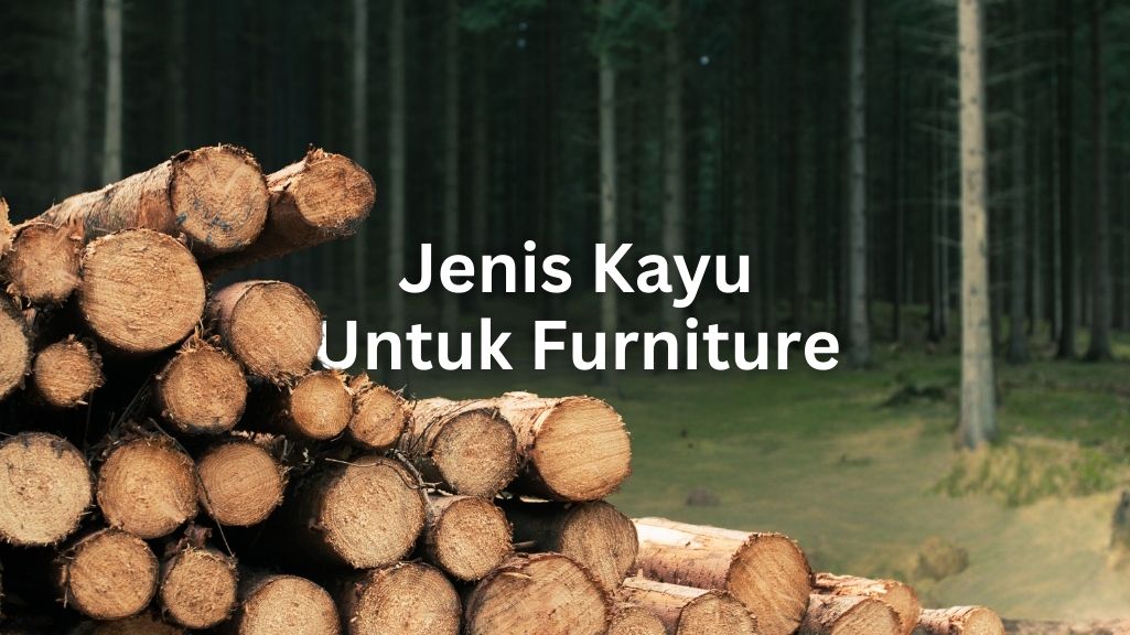 Jenis kayu yang sering dimanfaatkan dalam pembuatan mebel dan furniture