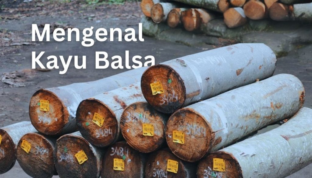 Mengenal Apa itu Kayu Balsa