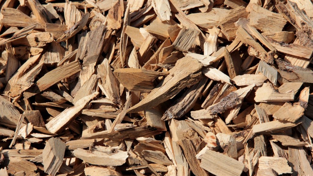 Daerah Penghasil Kayu Gaharu