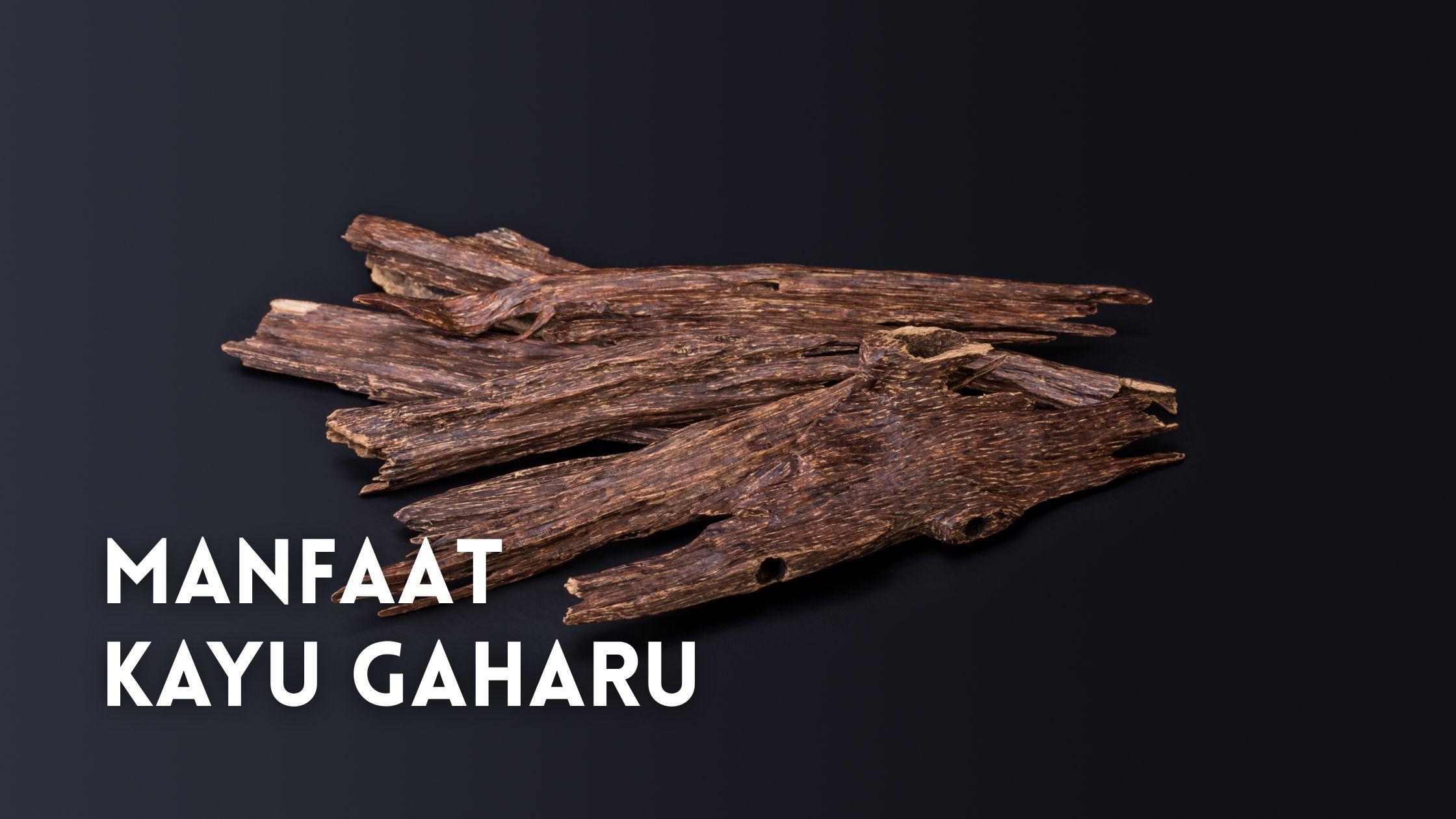 manfaat kayu gaharu untuk apa