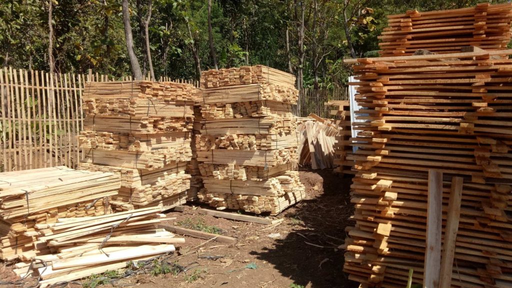 Apa Saja Manfaat Kayu Sengon