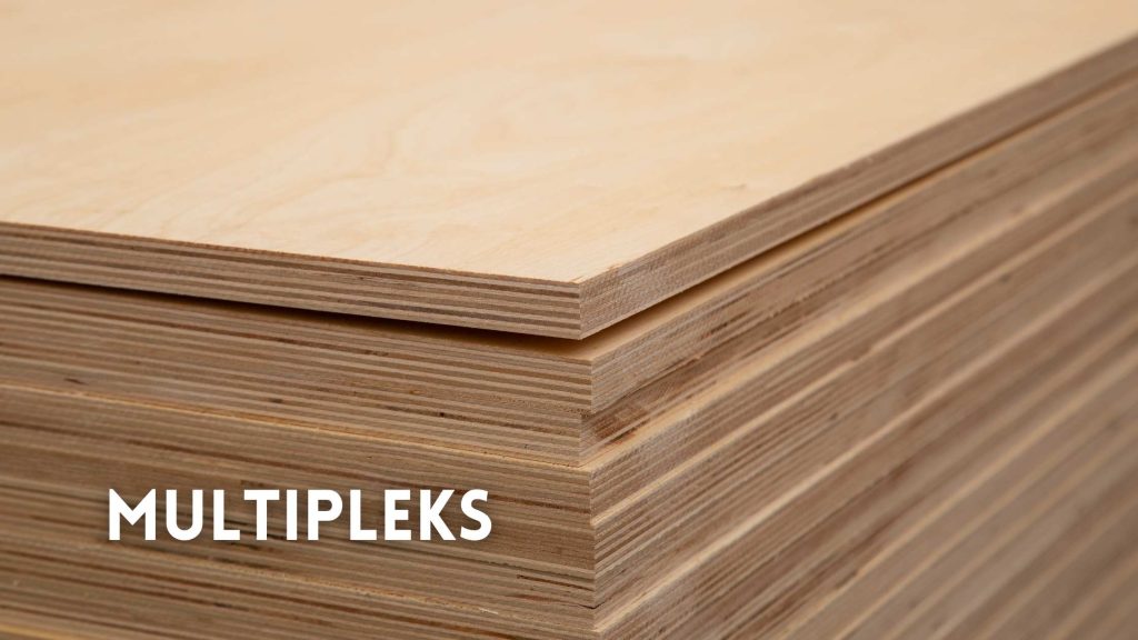 Apa Itu Multipleks