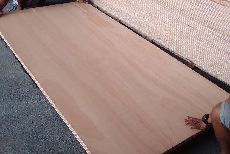 Apa Itu Meranti Plywood